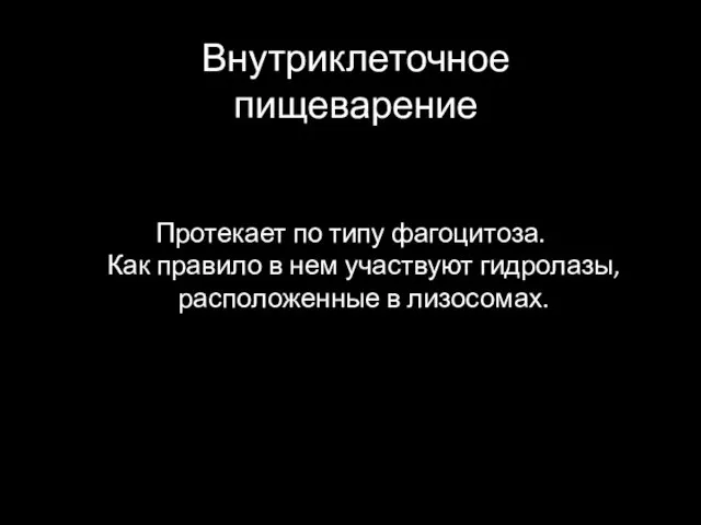 Внутриклеточное пищеварение Протекает по типу фагоцитоза. Как правило в нем участвуют гидролазы, расположенные в лизосомах.