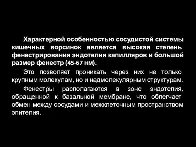 Характерной особенностью сосудистой системы кишечных ворсинок является высокая степень фенестрирования эндотелия