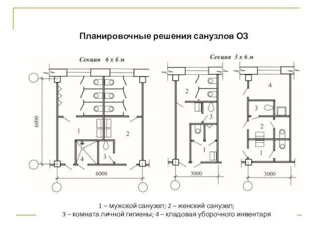 Планировочные решения санузлов ОЗ 1 – мужской санузел; 2 – женский