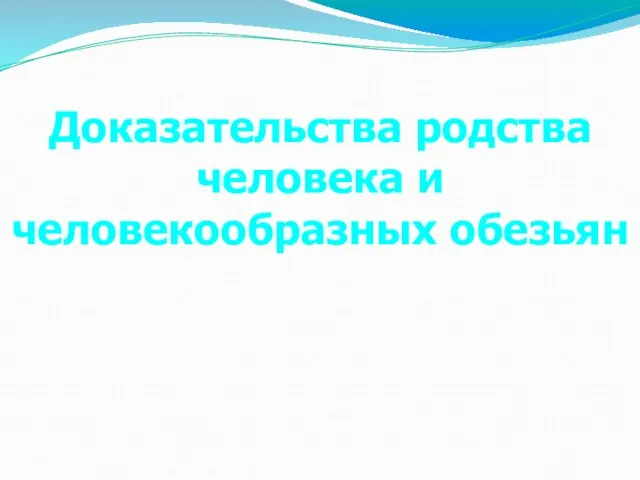 Доказательства родства человека и человекообразных обезьян