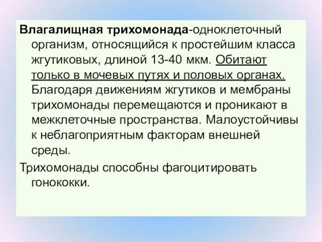 Влагалищная трихомонада-одноклеточный организм, относящийся к простейшим класса жгутиковых, длиной 13-40 мкм.