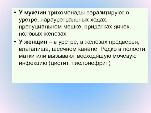 У мужчин трихомонады паразитируют в уретре, парауретральных ходах, препуциальном мешке, придатках