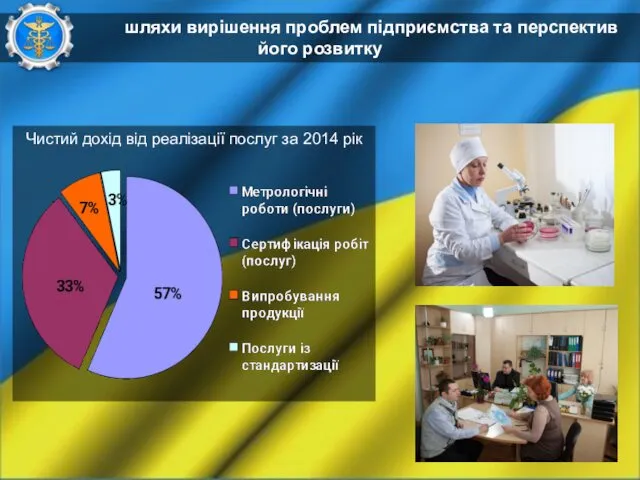 шляхи вирішення проблем підприємства та перспектив його розвитку