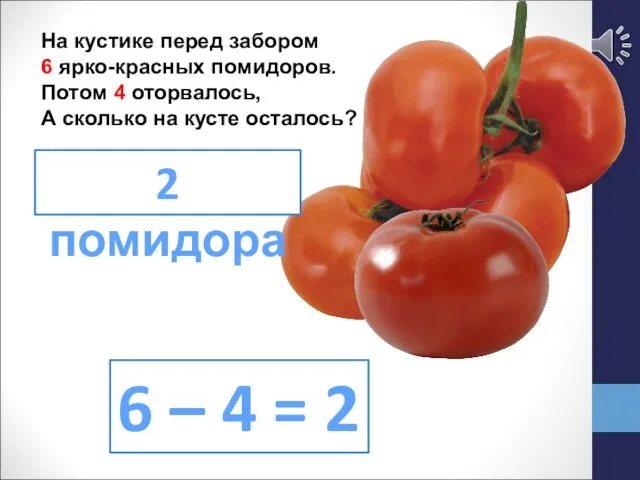 На кустике перед забором 6 ярко-красных помидоров. Потом 4 оторвалось, А