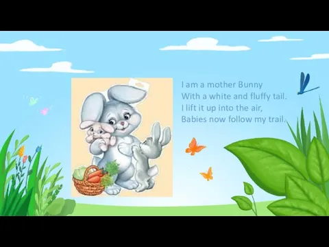I am a mother Bunny With a white and fluffy tail.