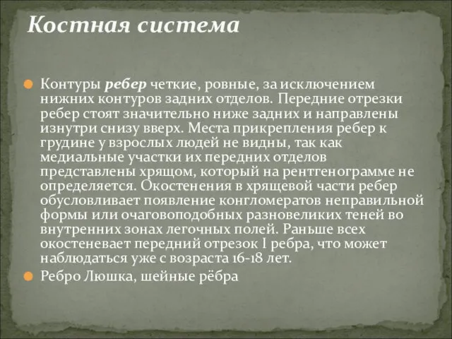 Контуры ребер четкие, ровные, за исключением нижних контуров задних отделов. Передние