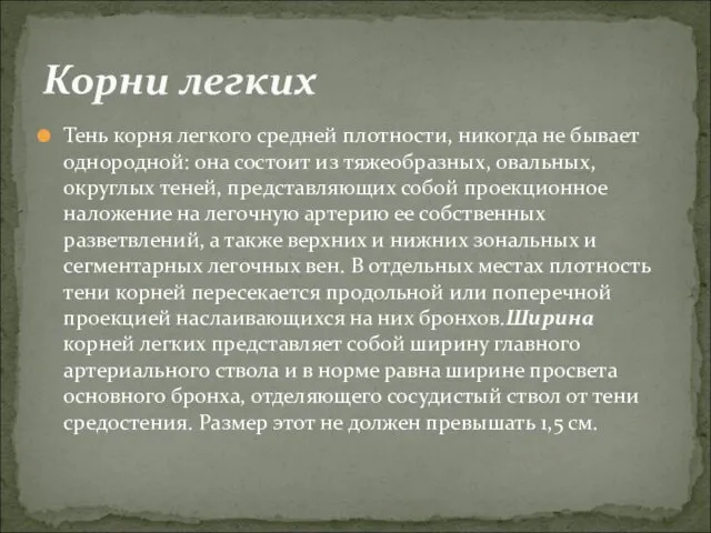 Тень корня легкого средней плотности, никогда не бывает однородной: она состоит