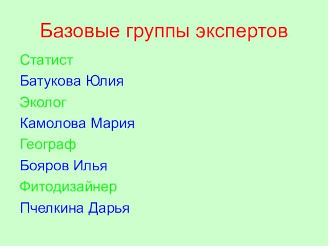 Базовые группы экспертов Статист Батукова Юлия Эколог Камолова Мария Географ Бояров Илья Фитодизайнер Пчелкина Дарья