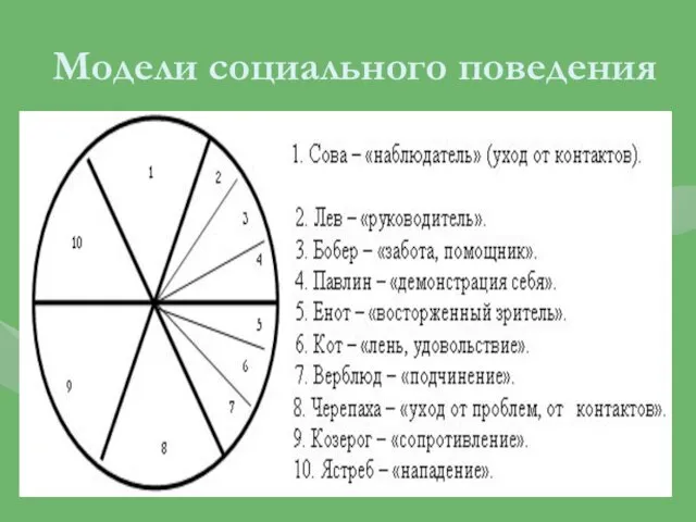 Модели социального поведения