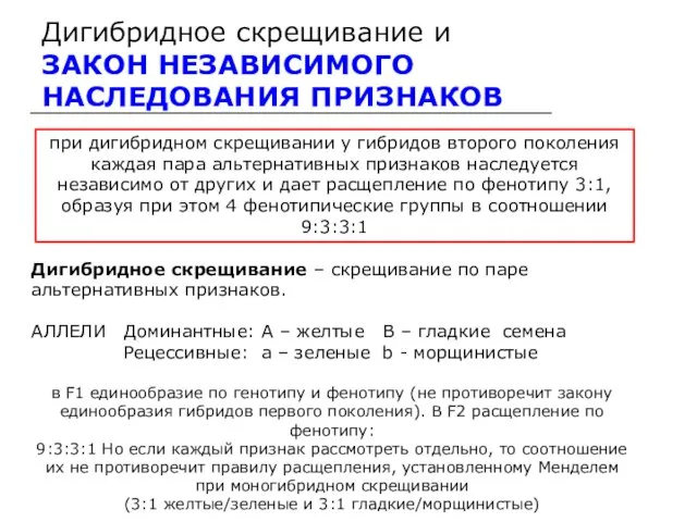 Дигибридное скрещивание и ЗАКОН НЕЗАВИСИМОГО НАСЛЕДОВАНИЯ ПРИЗНАКОВ при дигибридном скрещивании у