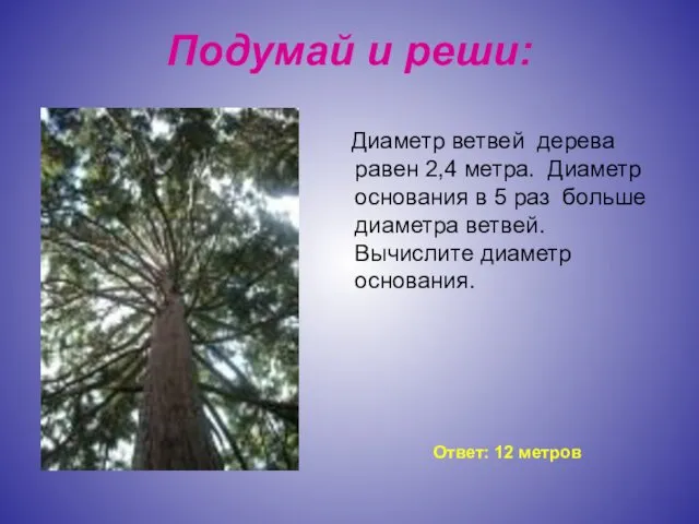 Подумай и реши: Диаметр ветвей дерева равен 2,4 метра. Диаметр основания