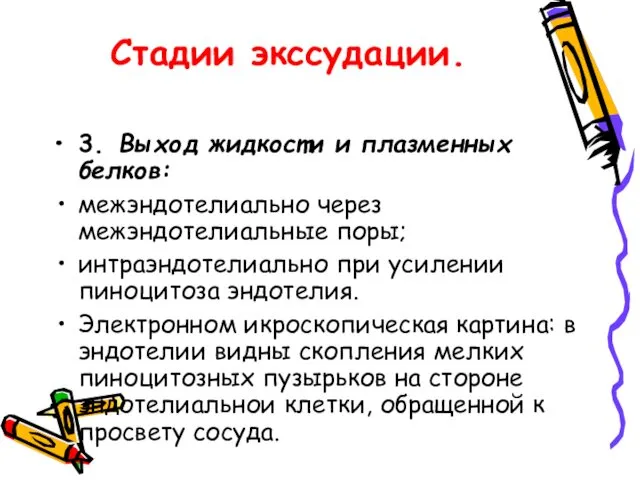 Стадии экссудации. 3. Выход жидкости и плазменных белков: межэндотелиально через межэндотелиальные