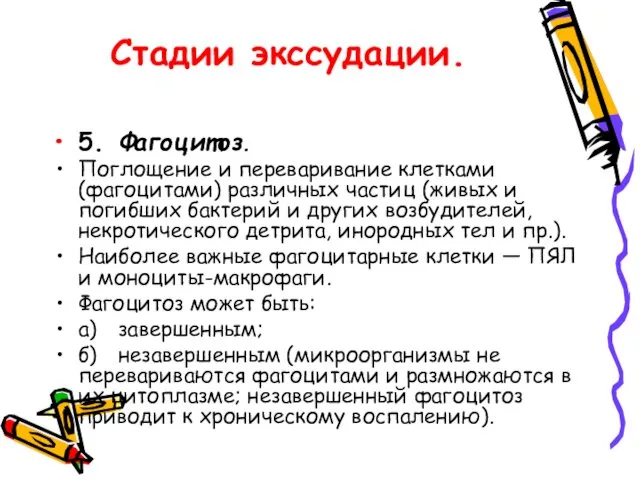 Стадии экссудации. 5. Фагоцитоз. Поглощение и переваривание клетками (фагоцитами) различных частиц