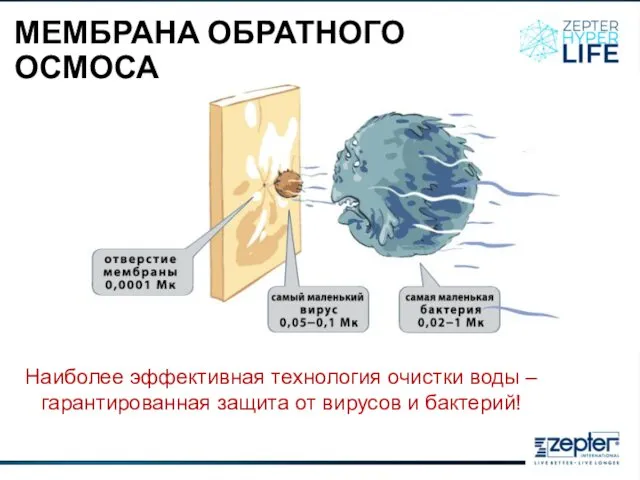 МЕМБРАНА ОБРАТНОГО ОСМОСА Наиболее эффективная технология очистки воды – гарантированная защита от вирусов и бактерий!