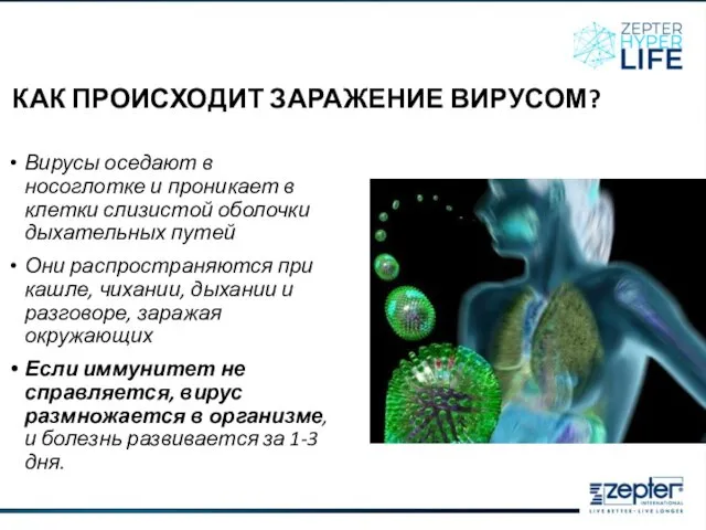 КАК ПРОИСХОДИТ ЗАРАЖЕНИЕ ВИРУСОМ? Вирусы оседают в носоглотке и проникает в