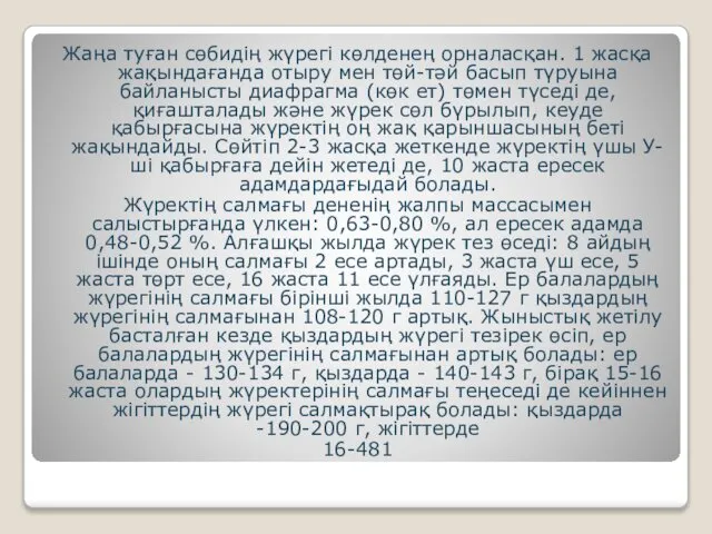 Жаңа туған сөбидің жүрегі көлденең орналасқан. 1 жасқа жақындағанда отыру мен