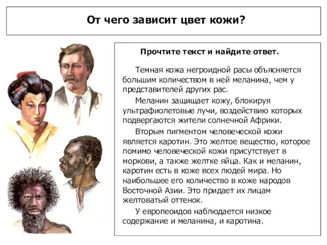 От чего зависит цвет кожи? Прочтите текст и найдите ответ. Темная