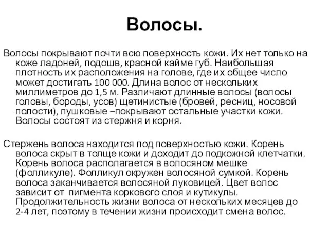 Волосы. Волосы покрывают почти всю поверхность кожи. Их нет только на