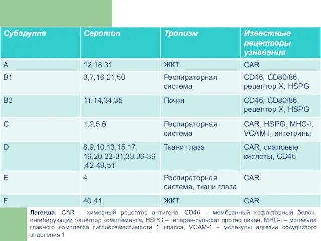 Легенда: CAR – химерный рецептор антигена, CD46 – мембранный кофакторный белок,