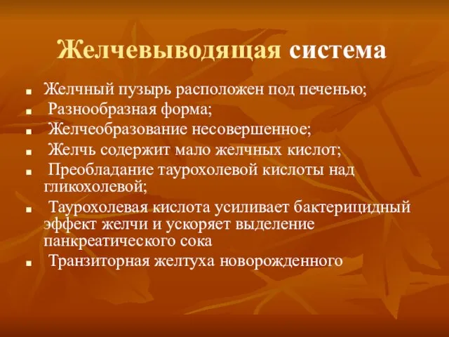 Желчевыводящая система Желчный пузырь расположен под печенью; Разнообразная форма; Желчеобразование несовершенное;