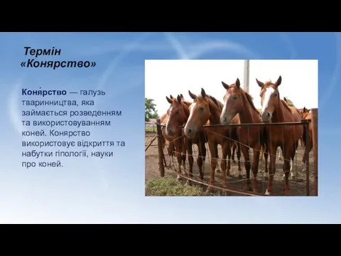 Термін «Конярство» Коня́рство — галузь тваринництва, яка займається розведенням та використовуванням