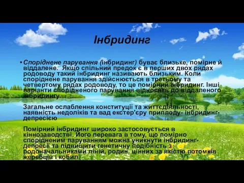 Інбридинг Споріднене парування (інбридинг) буває близьке, помірне й віддалене. Якщо спільний