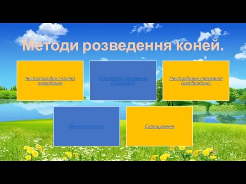 Методи розведення коней. Чистопородне (чисте) розведення Споріднене парування (інбридинг) Неспоріднене парування (аутбридинг) Маточні родини Схрещування