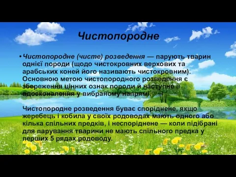 Чистопородне Чистопородне (чисте) розведення — парують тварин однієї породи (щодо чистокровних