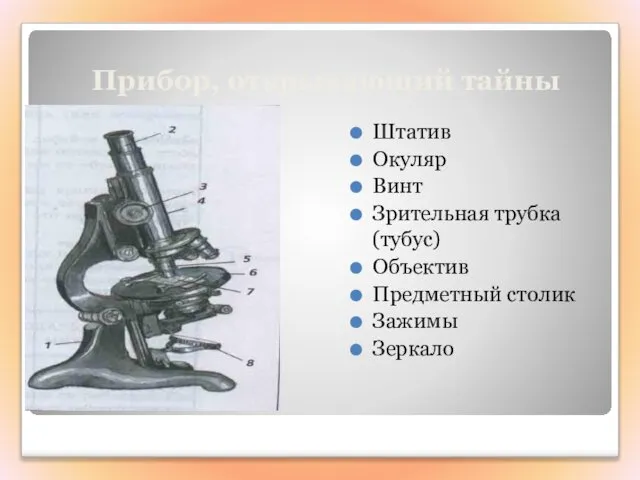 Прибор, открывающий тайны Штатив Окуляр Винт Зрительная трубка (тубус) Объектив Предметный столик Зажимы Зеркало