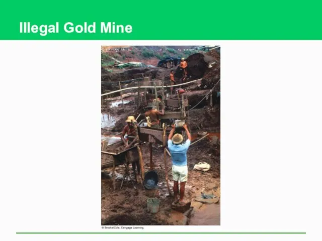 Illegal Gold Mine