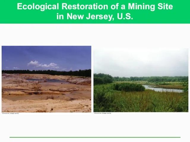 Ecological Restoration of a Mining Site in New Jersey, U.S.
