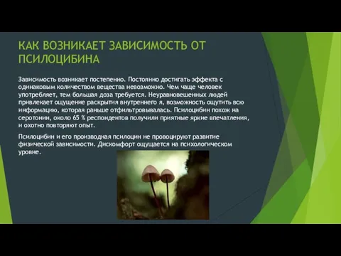 КАК ВОЗНИКАЕТ ЗАВИСИМОСТЬ ОТ ПСИЛОЦИБИНА Зависимость возникает постепенно. Постоянно достигать эффекта