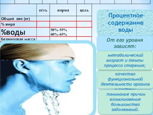 Процентное содержание воды От его уровня зависят: качество функциональной деятельности органов