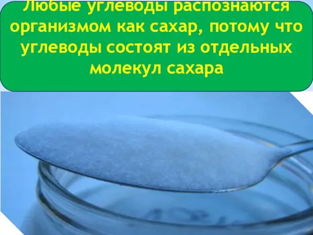 Любые углеводы распознаются организмом как сахар, потому что углеводы состоят из отдельных молекул сахара