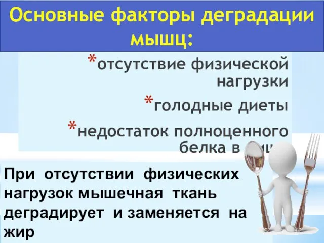 отсутствие физической нагрузки голодные диеты недостаток полноценного белка в пище Основные