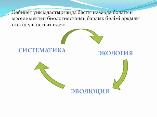 Кабинет ұйымдастырғанда басты назарда болатын мәселе мектеп биологиясының барлық бөлімі арқылы өтетін үш негізгі идея: