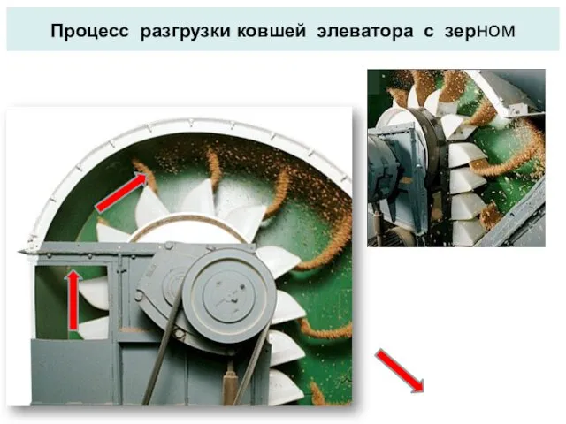 Процесс разгрузки ковшей элеватора с зерном