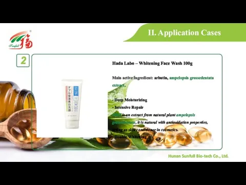 II. Application Cases Hada Labo – Whitening Face Wash 100g Main