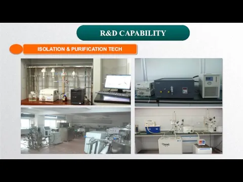 R&D CAPABILITY