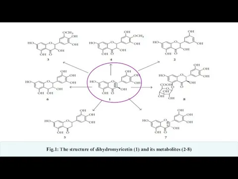 Fig.1: The structure of dihydromyricetin (1) and its metabolites (2-8)