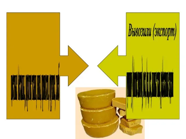 Вывозили (экспорт) пушнину («мягкое золото»), воск, мед, лес, льняные ткани, ремесленные
