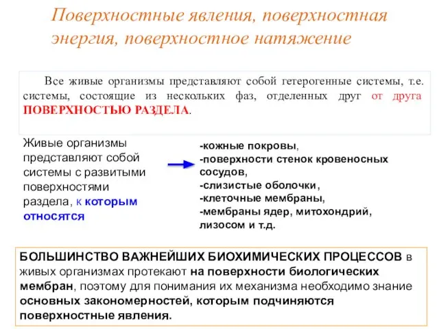 Поверхностные явления, поверхностная энергия, поверхностное натяжение Все живые организмы представляют собой