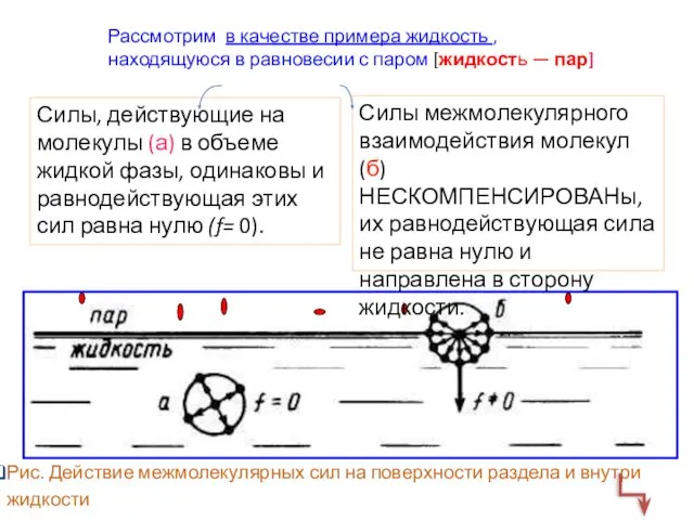 Рассмотрим в качестве примера жидкость , находящуюся в равновесии с паром