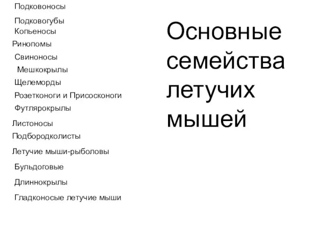 Основные семейства летучих мышей Подковоносы Подковогубы Копьеносы Ринопомы Свиноносы Мешкокрылы Щелеморды