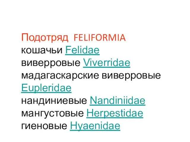 Подотряд FELIFORMIA кошачьи Felidae виверровые Viverridae мадагаскарские виверровые Eupleridae нандиниевые Nandiniidae мангустовые Herpestidae гиеновые Hyaenidae