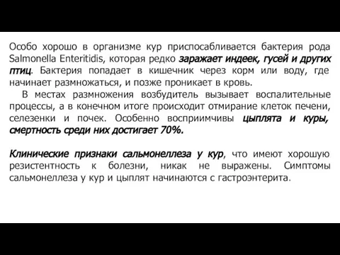 Особо хорошо в организме кур приспосабливается бактерия рода Salmonella Enteritidis, которая