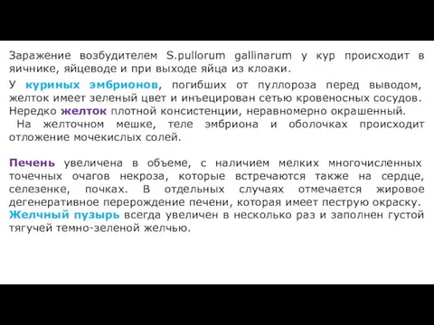 Заражение возбудителем S.pullorum gallinarum у кур происходит в яичнике, яйцеводе и