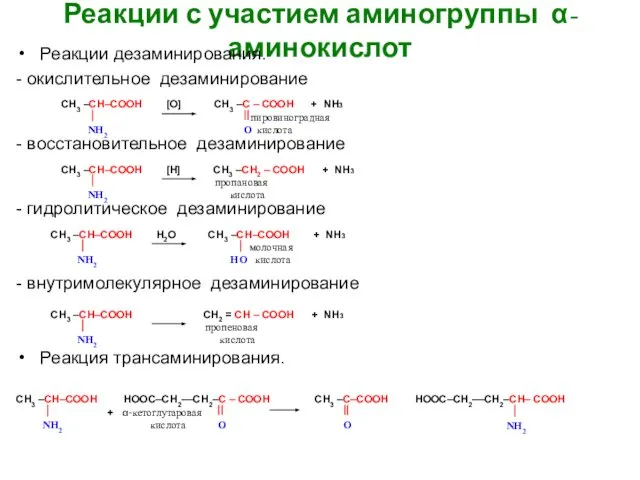 Реакции с участием аминогруппы α-аминокислот Реакции дезаминирования. - окислительное дезаминирование -