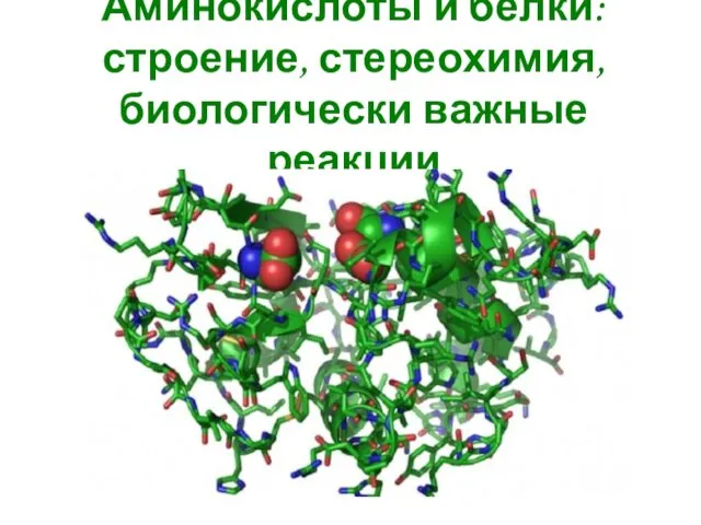 Аминокислоты и белки: строение, стереохимия, биологически важные реакции