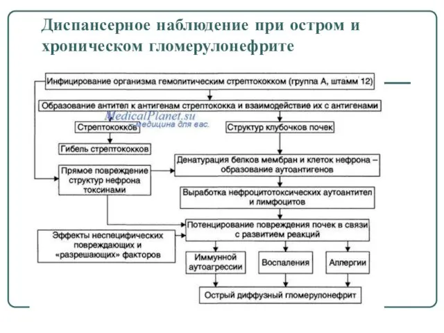 Диспансерное наблюдение при остром и хроническом гломерулонефрите